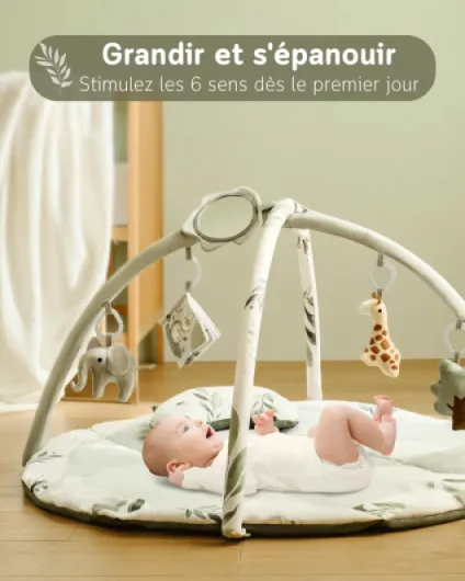 Fortella Tapis d'éveil Bébé, Thème Naturel, Arche amovible, Tapis de Jeux avec 5 Jouets d'activité et un coussin, Cadeau pour nouveau né, enfant, fille et garcon, Dès la Naissance, 0-3-6-12 Mois(Vert) Vert Sauge
