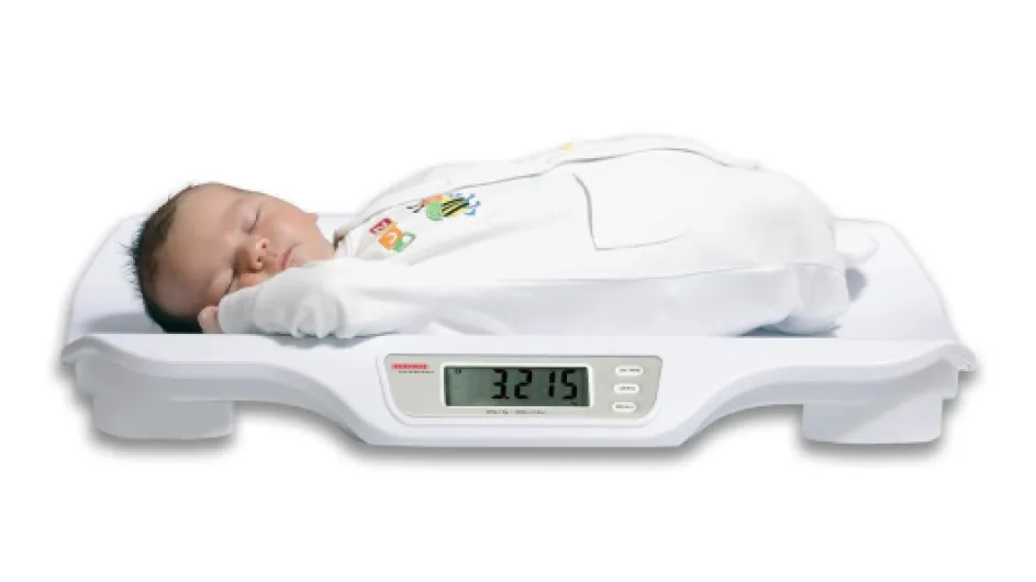 61zxHXdXVML._SL1500_