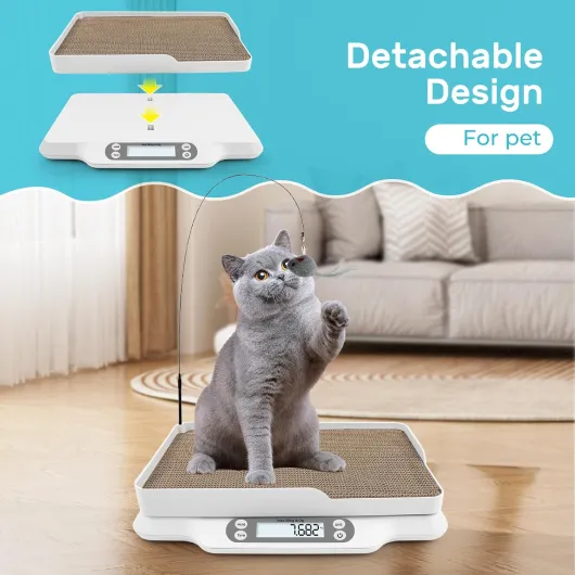 71GNRS5MWtL._SL1500_