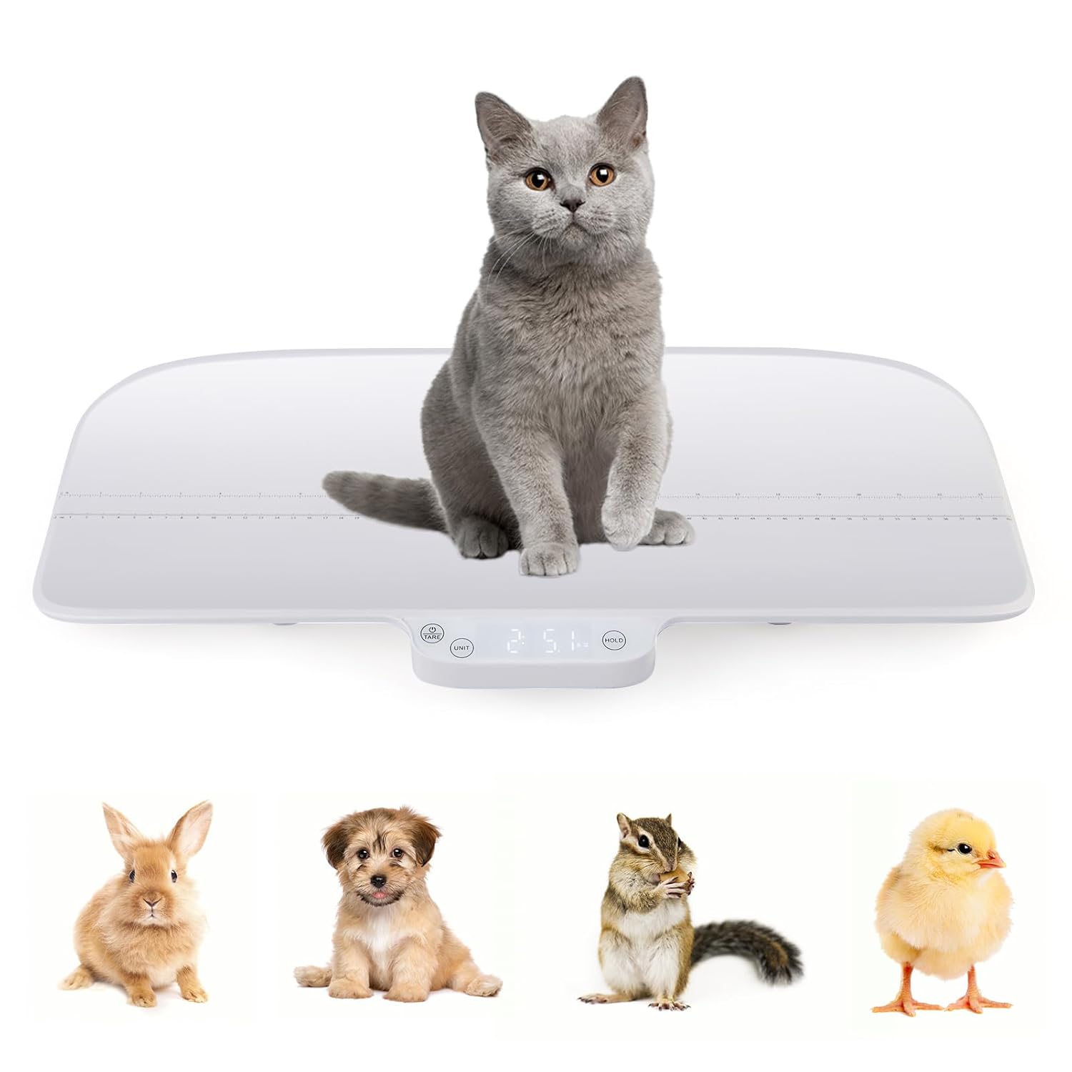 Pèse-Bébé Numérique, Balance Intelligente Bluetooth et Application, Fonctions de Maintien et de Tare, Affichage led, Balance Multifonctionnelle, pour Animaux, Nourrisson, Capacité Max - 30 Kg