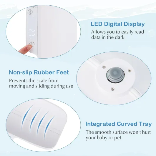 616rWO2wRFL._SL1500_