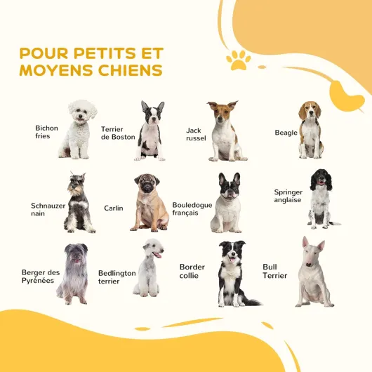 71u6xQPv6mL._AC_SL1500_