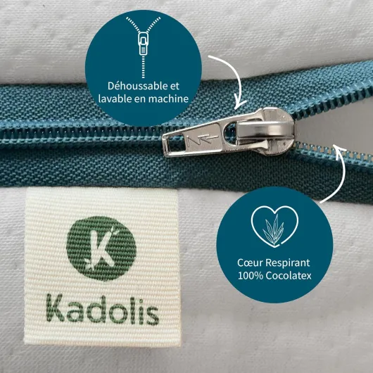 81JNRMOStbL._AC_SL1500_