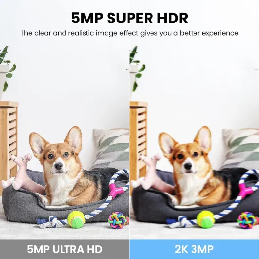 71KEsdTaHpL._AC_SL1500_