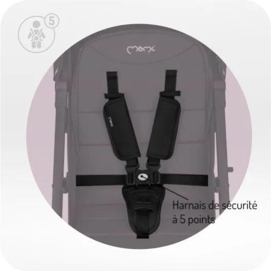 61cPNy 7I7L._AC_SL1500_