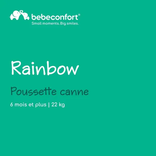 Rainbow, Poussette Canne Multipositions, Poussette compacte et Légère, de 6 mois à 4 ans, jusqu'à 22 kg, Mineral Graphite (gris)
