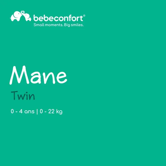 Mane, Poussette Double, 0+ à 22 kg, Pliage Automatique, Inclinable À Plat, Arceau Pivotable, Harnais 5 Points, Fenêtre En Filet, Housse De Pluie, Sac De Courses (8 kg), Mineral Graphite