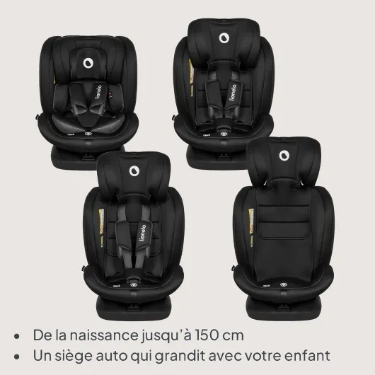 71HOcjZg4QL._AC_SL1500_