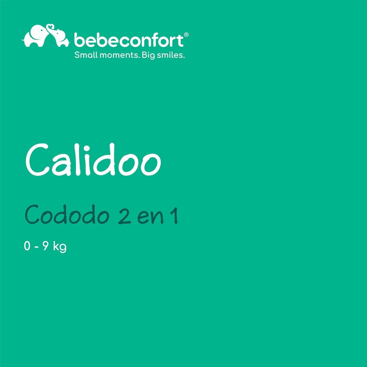 Calidoo, Lit Cododo Bébé et Berceau Bébé 2-en-1, 0-6 mois (0-9 kg), Berceau Cododo Inclinable, 5 Hauteurs, Grand Matelas Rembourré, Côtés en Filet, Côté Pliable Facilement, Tinted Graphite