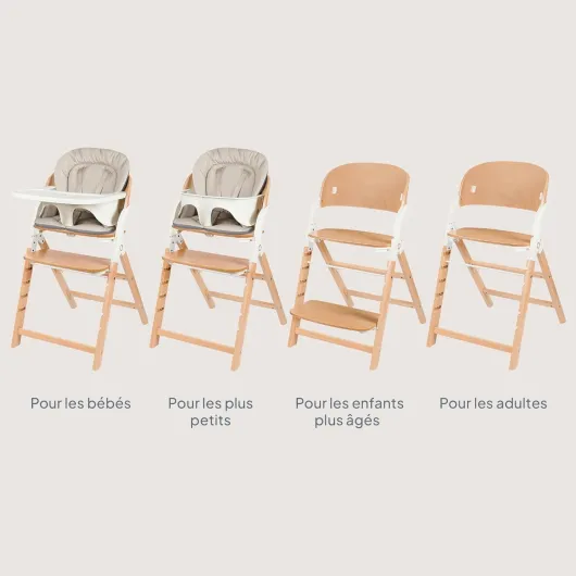 61jz-9z8bzL._AC_SL1500_