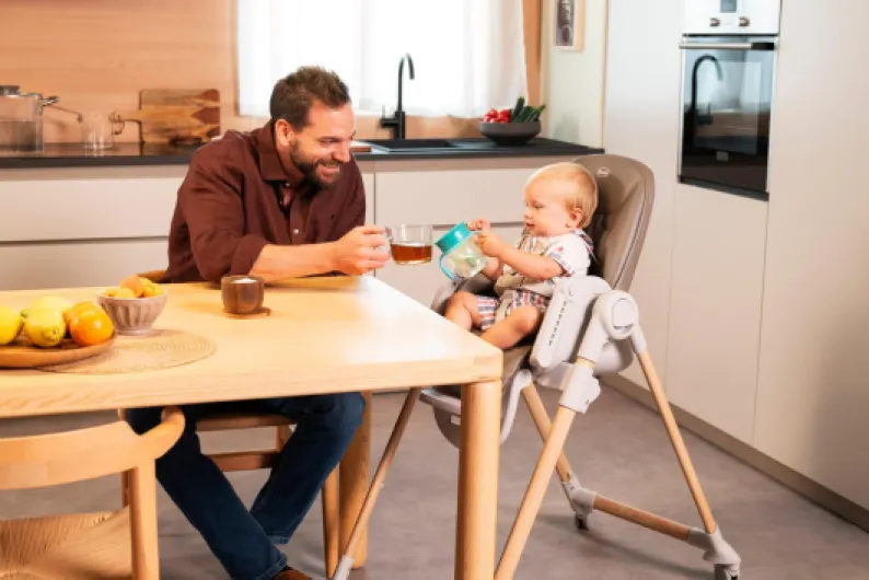 Polly Armonia Chaise Haute Bebé Évolutive, pour Enfants de 0 Mois à 40 kg, 9 Niveaux de Hauteur, 3 Positions d'Inclinaison, Repose-Pieds Réglables, Pliage compact, 4 Roues, Brun Polly Armonia Brun