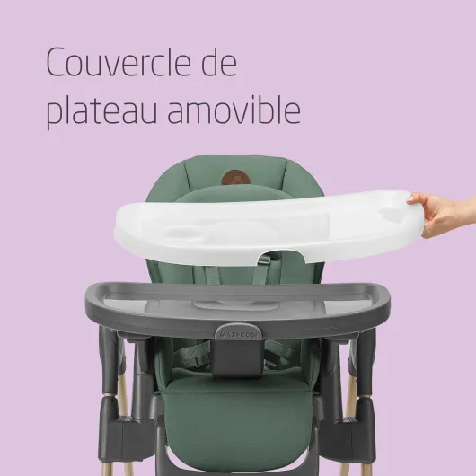 71hSCKKDHTL._AC_SL1500_