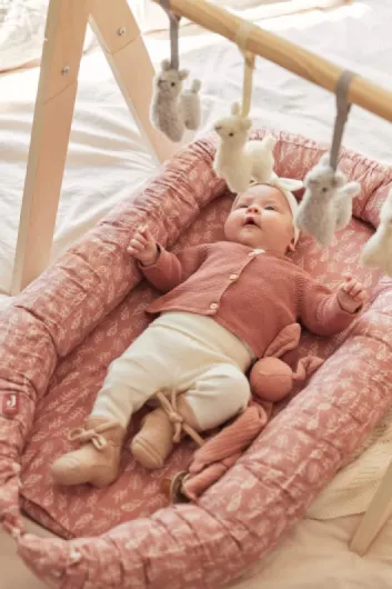 61dc-2xJ4FL._AC_SL1200_