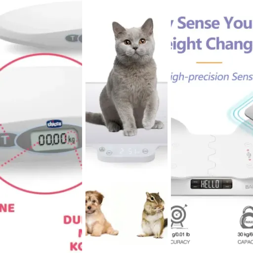 Classement des 9 meilleurs balances bébé connectées (2026)