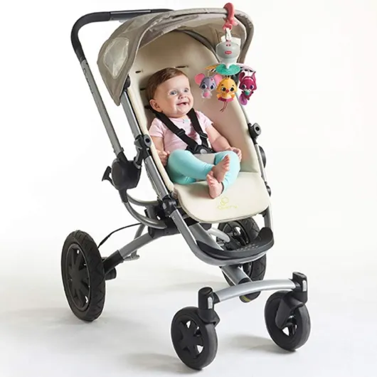 61q-AfS4LXL._AC_SL1000_