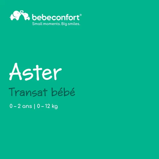 Aster, transat bébé, 0–2 ans, léger (2,7 kg), pliable ultra compact, dossier réglable, arche de jeux amovible, harnais à 3 points, mode fixe, Tinted Graphite Tinted Grey
