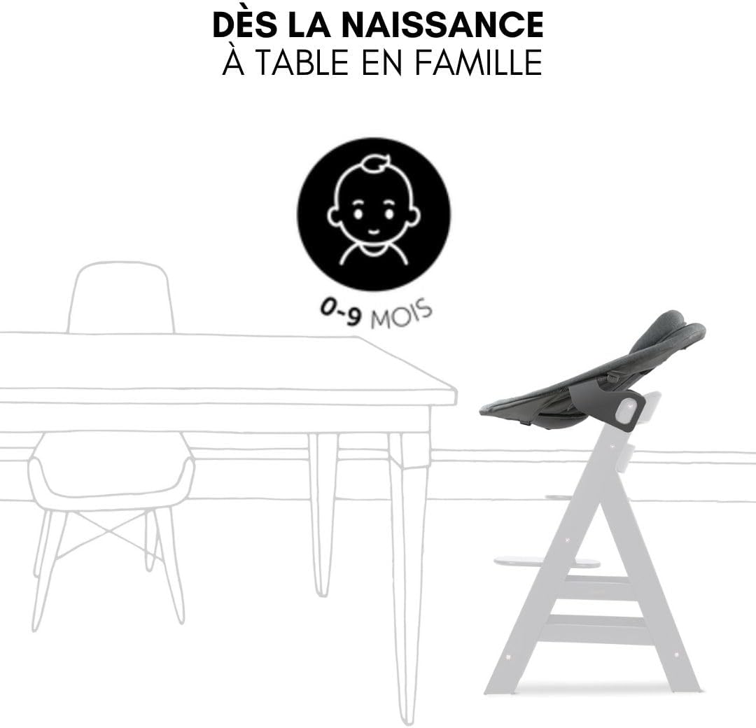 Chaise Haute Bébé Evolutive en Bois Alpha Move Newborn Set avec Siège Nouveau-né Premium, Harnais 5 Points, dès Naissance, Roulettes, Coussin d'Assise et Tablette Repas - Naturel Gris Foncé Moderne Naturel Gris Foncé