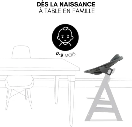 Chaise Haute Bébé Evolutive en Bois Alpha Move Newborn Set avec Siège Nouveau-né Premium, Harnais 5 Points, dès Naissance, Roulettes, Coussin d'Assise et Tablette Repas - Naturel Gris Foncé Moderne Naturel Gris Foncé